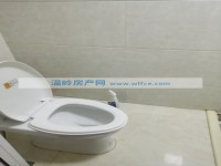 其它图