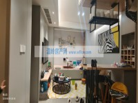 其它图