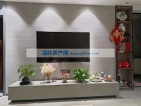 其它图