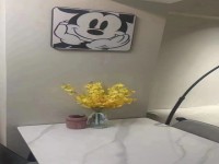 其它图