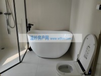 其它图