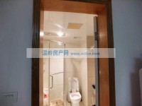 其它图
