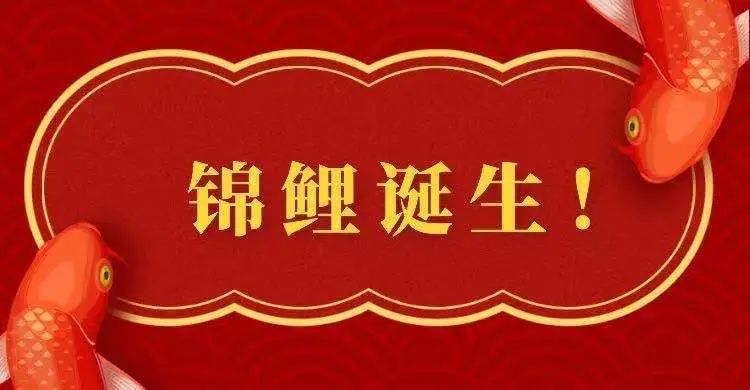 高洋3.png